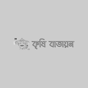 সজিনার জাবপোকা বা এফিড